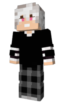 Minecraft skin blotyp