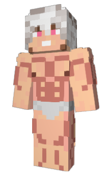 Minecraft skin blotyp