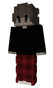 Minecraft skin Ryni