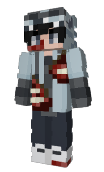 Minecraft skin dolqhin