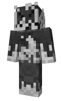 Minecraft skin ErrorCode