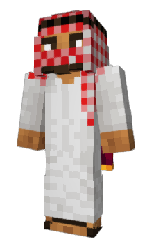 Minecraft skin W1st