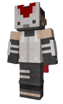 Minecraft skin Danch