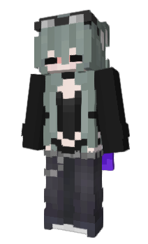 Minecraft skin litvinn