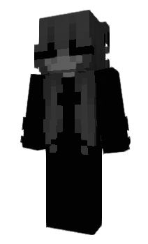 Minecraft skin pxlar