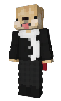 Minecraft skin Sir_Dogeington