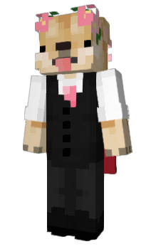Minecraft скін по ніку Sir_Dogeington