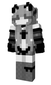 Minecraft skin paty