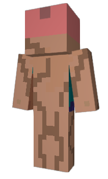Minecraft skin OakenPlane8743