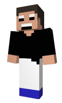 Minecraft skin biccamera