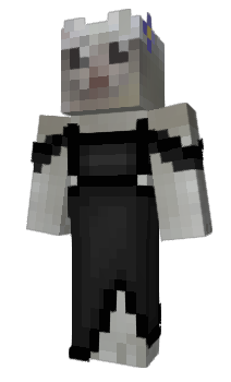 Minecraft скин по нику udoo