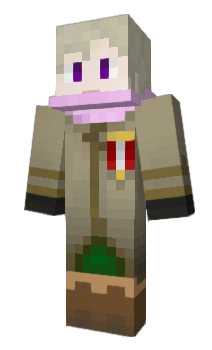 Minecraft skin Shadow_Ski
