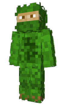 Minecraft скін по ніку BigRei