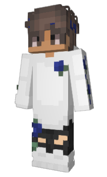 Minecraft skin Joni666