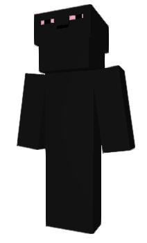 Minecraft skin llionel