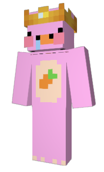 Minecraft skin SEOLID