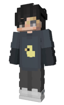 Minecraft skin FIJER