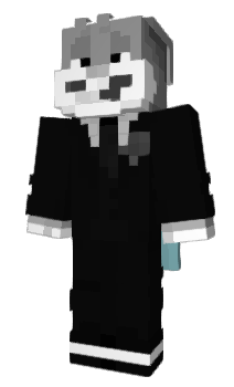Minecraft skin FrozenJeBa