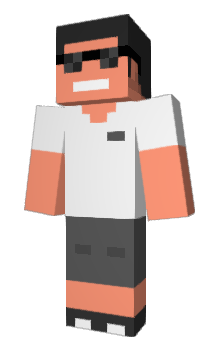 Minecraft skin PC_man