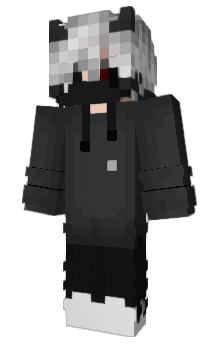 Minecraft skin DLPR