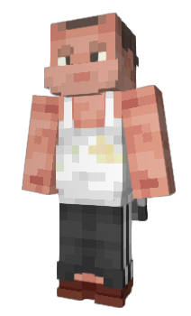 Minecraft skin BuPuS