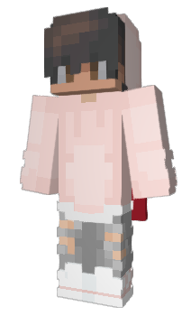 Minecraft skin Wealthsimple