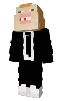 Minecraft skin xSwe2t