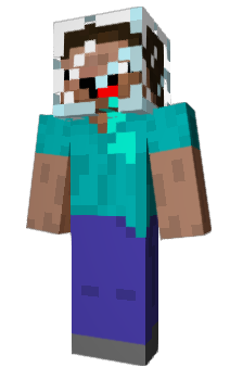 Minecraft skin trolletje