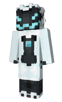 Minecraft skin ENPPP