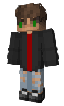 Minecraft skin DigiKong