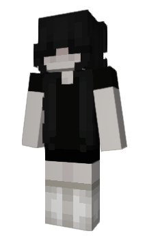 Minecraft skin Ptveile