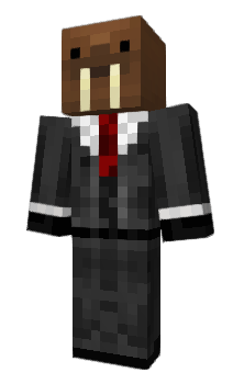 Minecraft skin zball