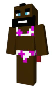 Minecraft skin ebmaster