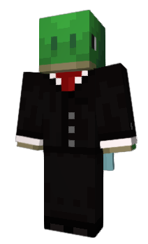 Minecraft skin LauncherTurtle