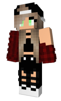 Minecraft skin Norland