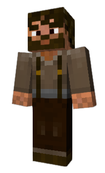 Minecraft skin elsoothsayer
