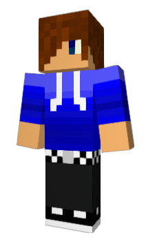 Minecraft skin OakWoodPlank