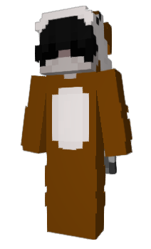 Minecraft skin prot6