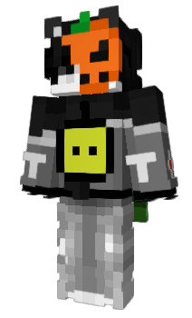 Minecraft skin Zchx