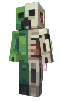 Minecraft skin imageek8