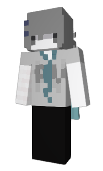 Minecraft skin Baypl