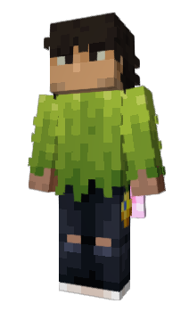 Minecraft skin Gif_frin