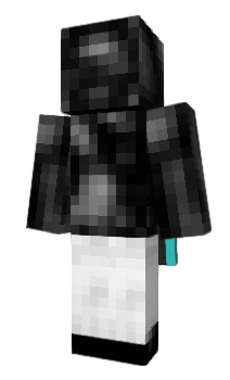 Minecraft skin digitallows