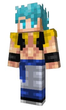 Minecraft skin Vichet