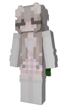 Minecraft skin attractivegirls