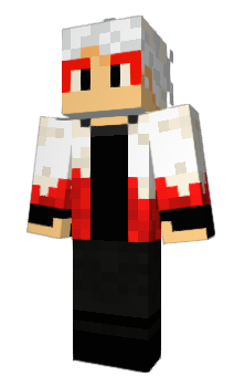 Minecraft skin Brym