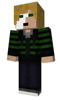 Minecraft skin MTMC