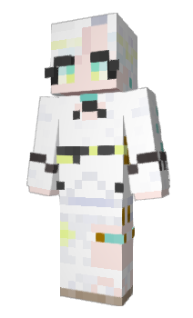 Minecraft skin paigeterner