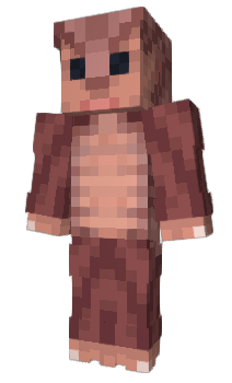 Minecraft skin ZC1WS