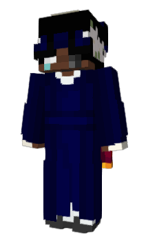 Minecraft skin pwdim